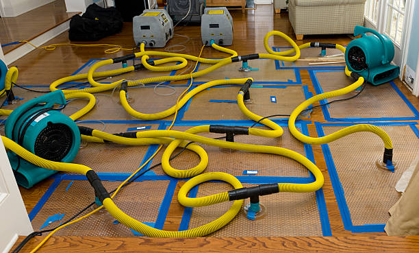 Professional Sewage Cleanup technician working in Oakesdale, WA